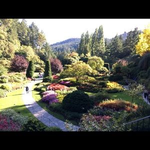 Meet Your Posh Ambassador, Dee!